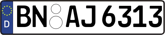 BN-AJ6313