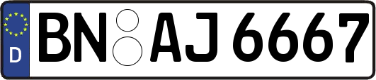 BN-AJ6667
