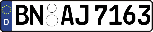 BN-AJ7163