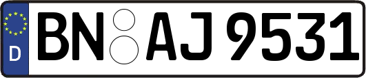 BN-AJ9531