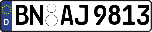 BN-AJ9813