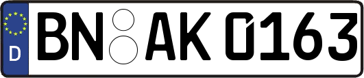BN-AK0163