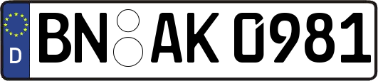 BN-AK0981