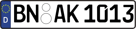 BN-AK1013