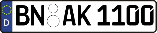 BN-AK1100