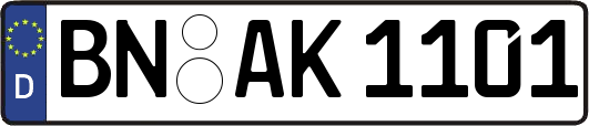 BN-AK1101
