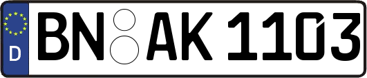 BN-AK1103