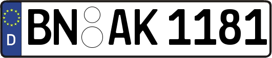 BN-AK1181