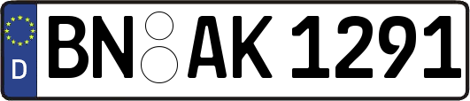 BN-AK1291