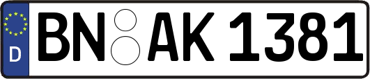 BN-AK1381