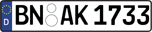BN-AK1733