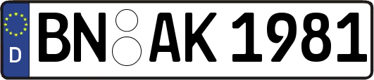 BN-AK1981