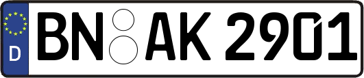 BN-AK2901