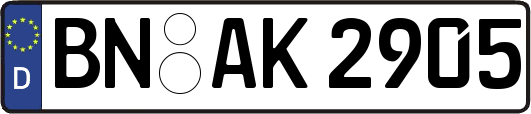 BN-AK2905