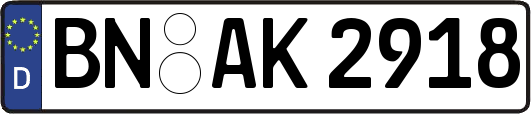 BN-AK2918