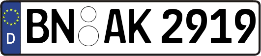 BN-AK2919
