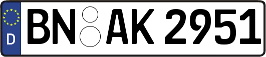 BN-AK2951