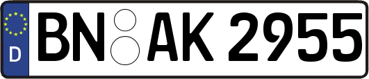 BN-AK2955