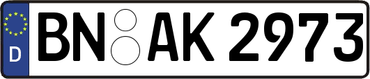BN-AK2973