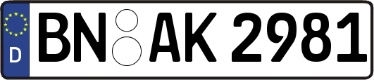 BN-AK2981