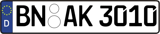 BN-AK3010