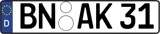 BN-AK31