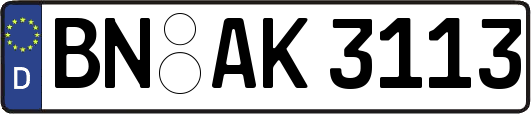 BN-AK3113