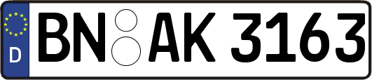 BN-AK3163