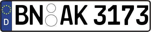 BN-AK3173