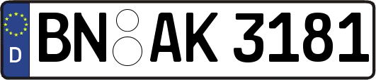 BN-AK3181