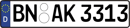 BN-AK3313