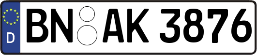 BN-AK3876