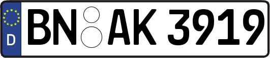 BN-AK3919