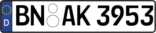 BN-AK3953