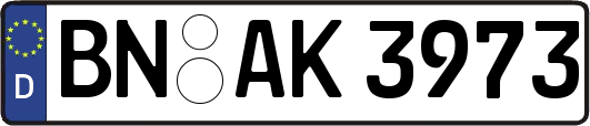 BN-AK3973