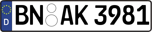 BN-AK3981