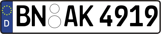 BN-AK4919
