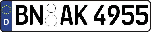 BN-AK4955