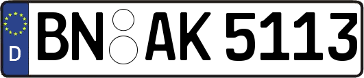 BN-AK5113