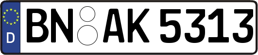 BN-AK5313