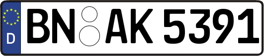 BN-AK5391