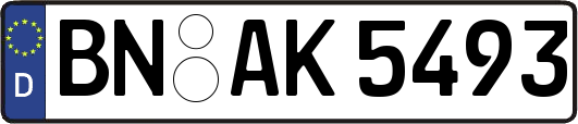 BN-AK5493