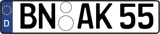 BN-AK55