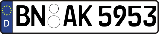 BN-AK5953