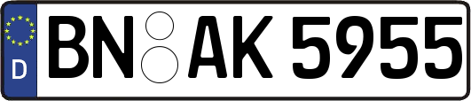 BN-AK5955