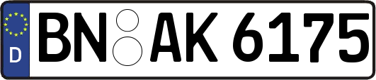 BN-AK6175
