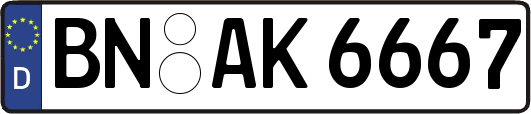 BN-AK6667