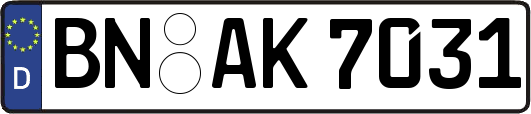 BN-AK7031