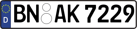 BN-AK7229