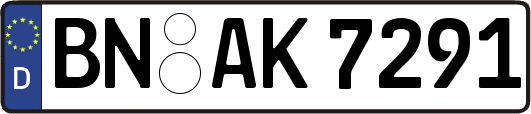 BN-AK7291